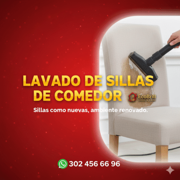 LAVADO DE SILLAS DE COMEDOR