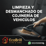 LIMPIEZA Y DESMANCHADO COJINERIA VEHICULOS