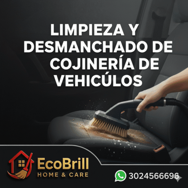 LIMPIEZA Y DESMANCHADO COJINERIA VEHICULOS